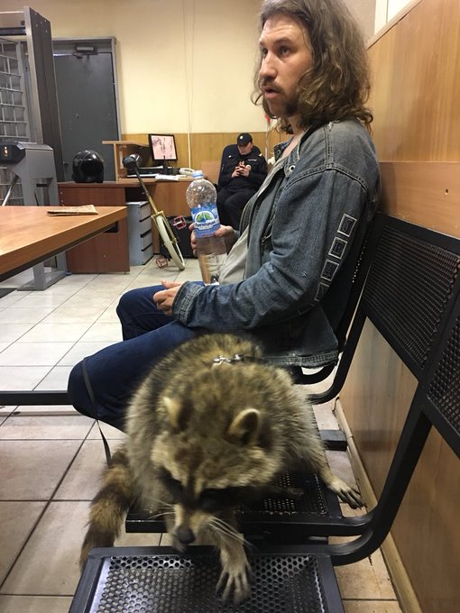 Посмотреть изображение в Твиттере