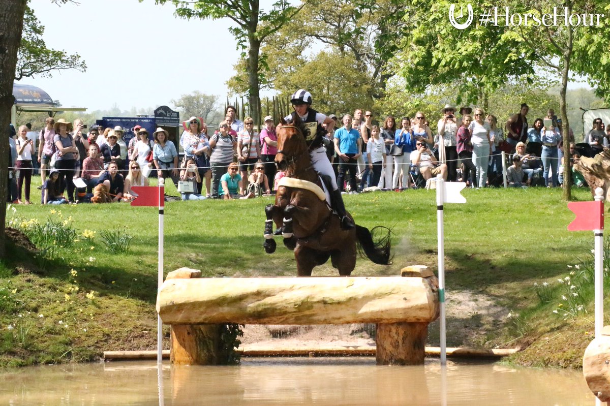 #HorseHour tweet media