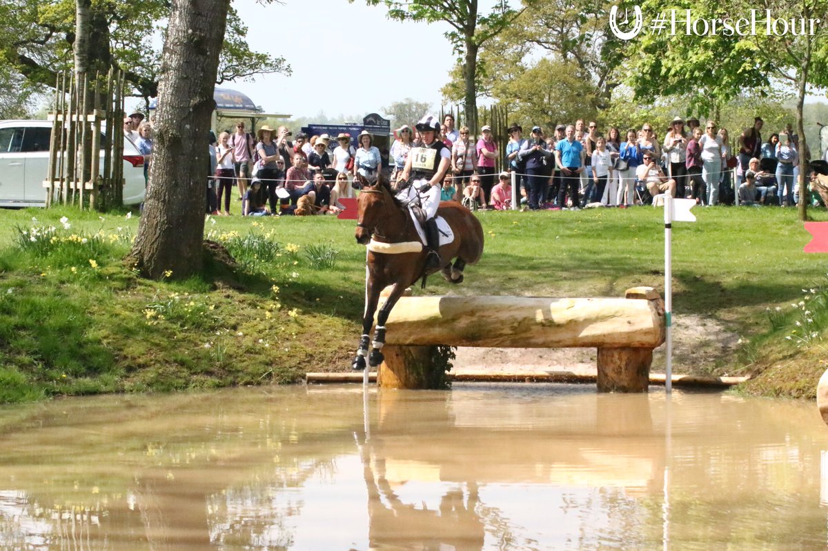 #HorseHour tweet media