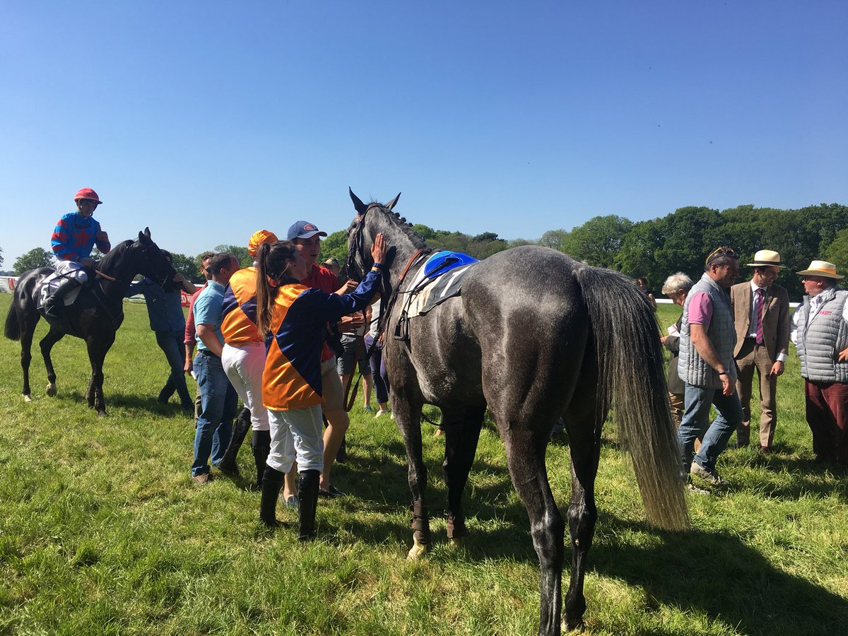 HarasDeCercy's tweet photo. #FrenchPointToPoint GRIS DES DUNES (#GrisDeGris) s’impose dans le Prix @REDMILLSHorse au terme d’un parcours riches en rebondissements! 😅👏🏻👌 https://t.co/sbzlPT0Gtn
