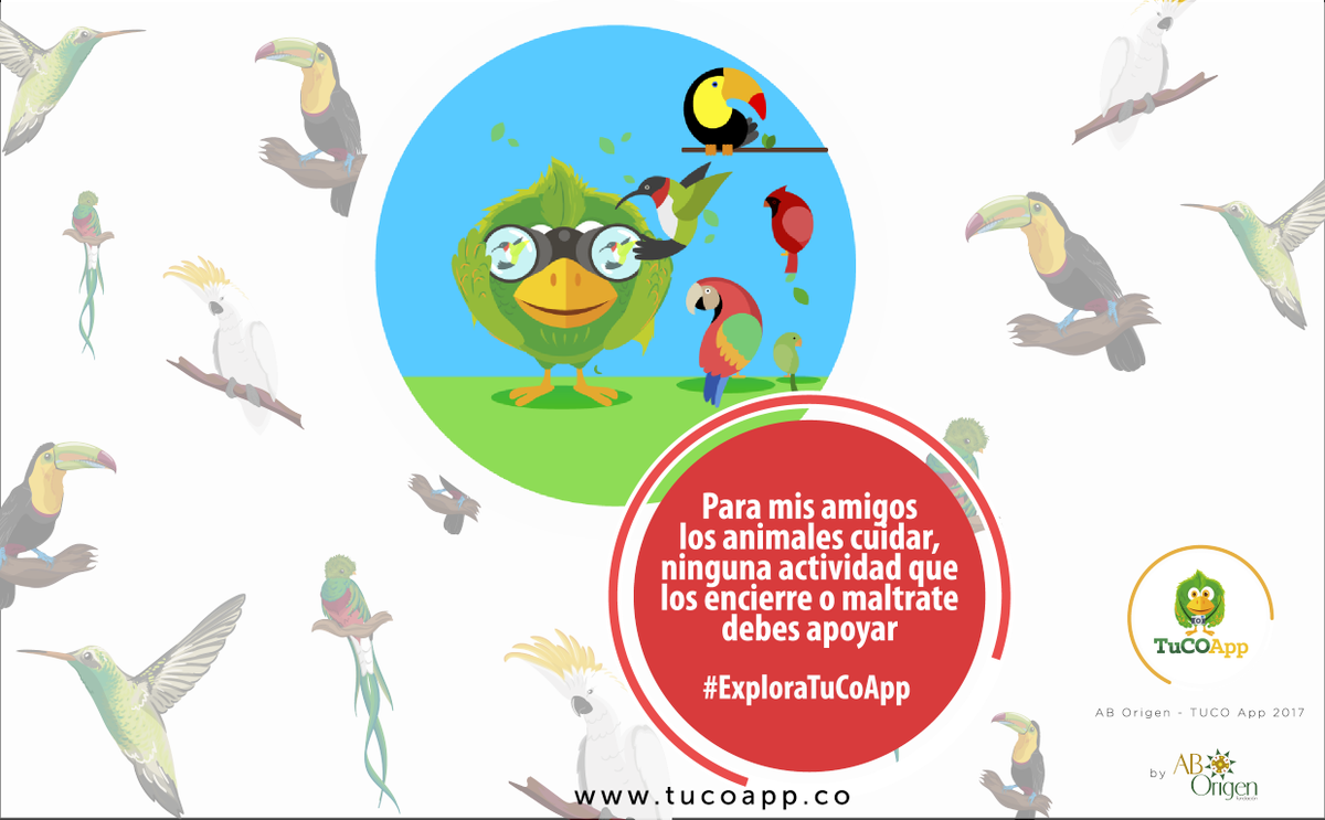 TuCOAp's tweet photo. Listos para Global Big Day #ViveTuCOApp #DejatumejorHuella #Pajareando https://t.co/X0yOx3Dc2V
