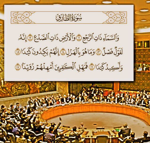 سيف الجرباء tweet media