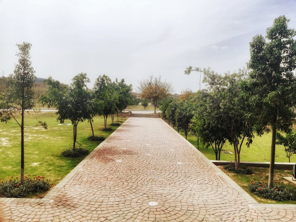abeerahbiaji's tweet image. .کب وہ سنتا ہے کہانی میری
اور پھر وہ بھی زبانی میری
#Photography

#NUSTDiaries #S3H #Symmetry #Trees #Greenery #Beauty #Earth