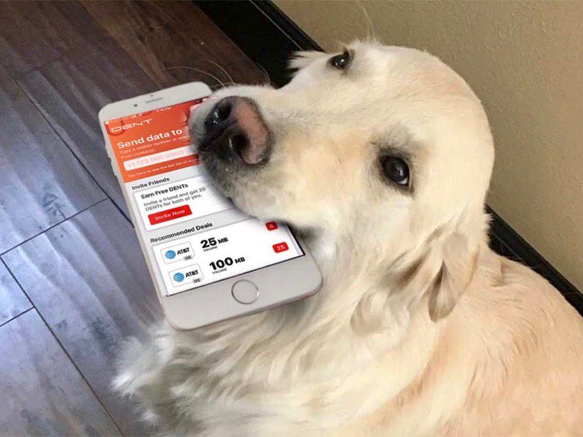 dentcoin's tweet photo. Recommend DENT Apps to a friend and earn 20 DENTs for both of you! You can also invite multiple contacts, no limitations. Click here for Android Download: https://t.co/BXphYsHhG5 iOS App download: https://t.co/fw67pdcj7o  #dentcoin #blockchain #bitcoin #ethereum #btc #gsma https://t.co/u23qQjlxNC