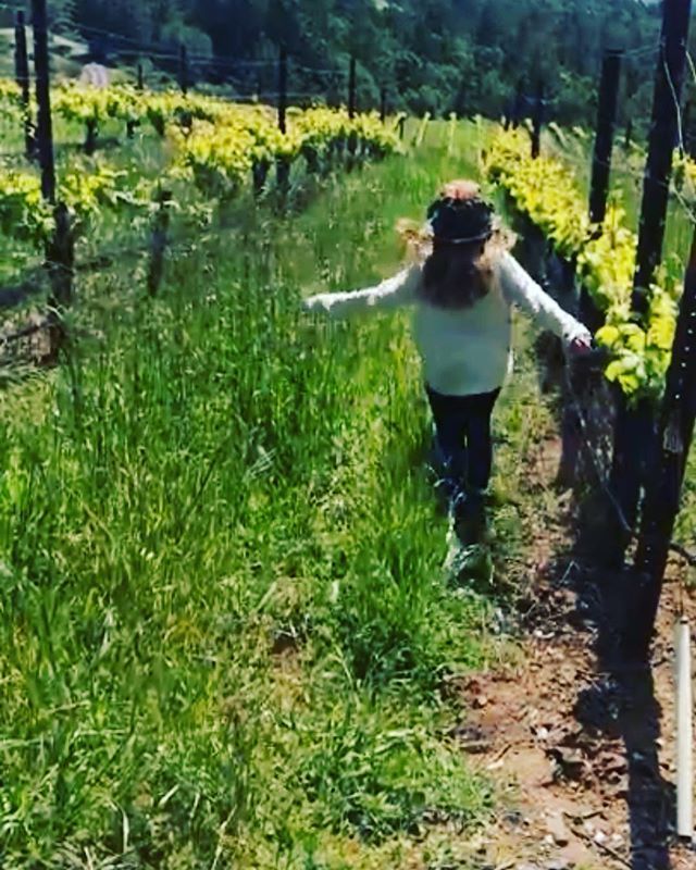 Thank you CA - what a wonderful whirlwind visit. Got it all in - wonderful shows with the nicest groups of girls and had time with friends and family in between.  Ended my trip with a visit to <a href="/cobbwines/">Ross Cobb</a> - this pic is of my darling Neice Kennedy 💜 Thanks again to all the won…