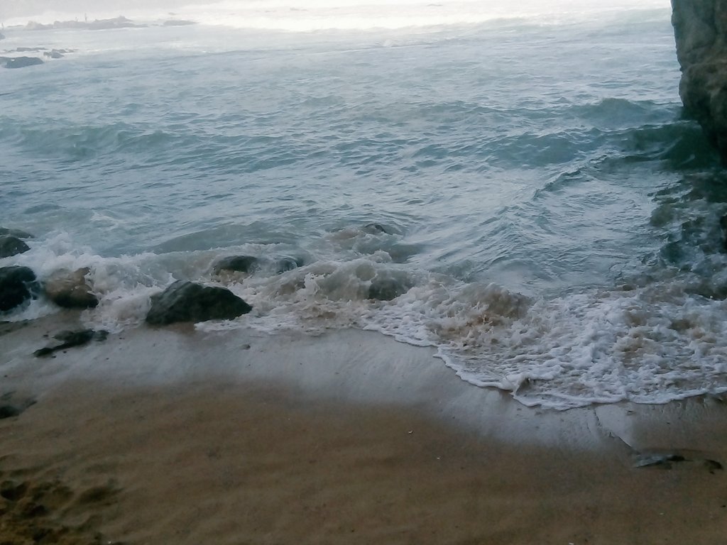 TraceyRemas's tweet image. 😸😸😸