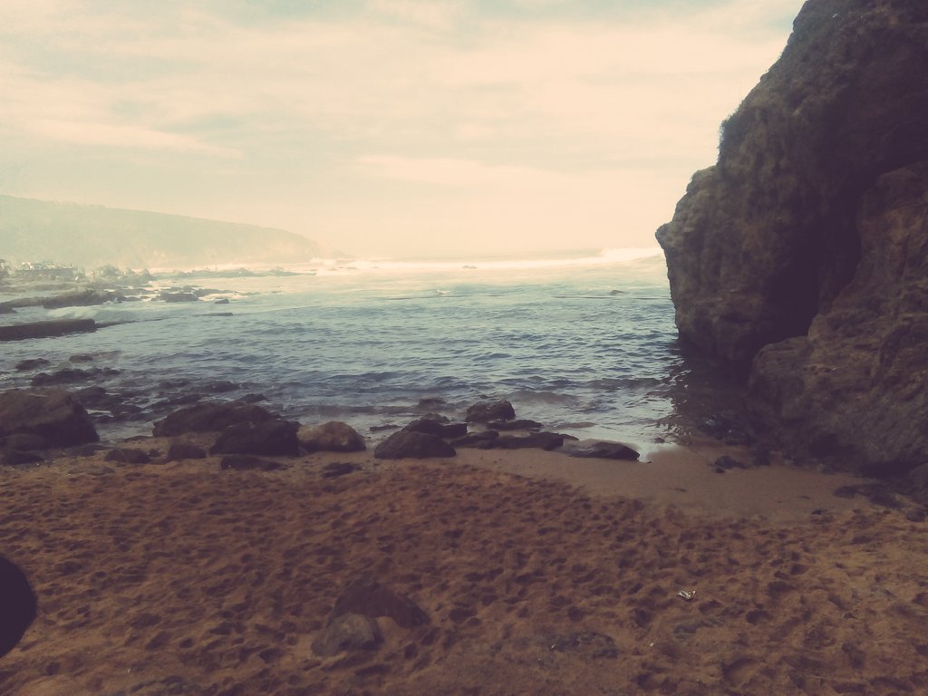 TraceyRemas's tweet image. ***BREEZE***