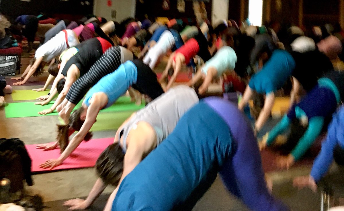 CyndyStead's tweet photo. Look at life from a different angle #downward dog #yogafestival @hikediscovery @LegendaryCoasts @historictrinity @nlpacket #trinitybight #seasonopener @portrextonbrew @Toddperrin @FishersLoft @trinitygetaway #welcome #community #giveback https://t.co/VUT5URStMJ
