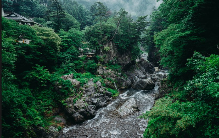 workforgroup's tweet photo. This is a picture, taken in Japan. It is just beautiful. https://t.co/2z1ECXIaNS