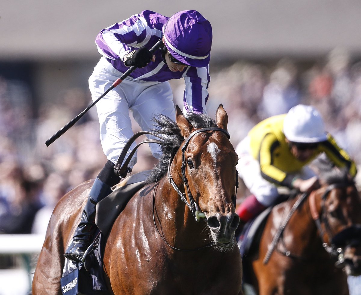 Donnacha O’Brien - Classic winner at 19!