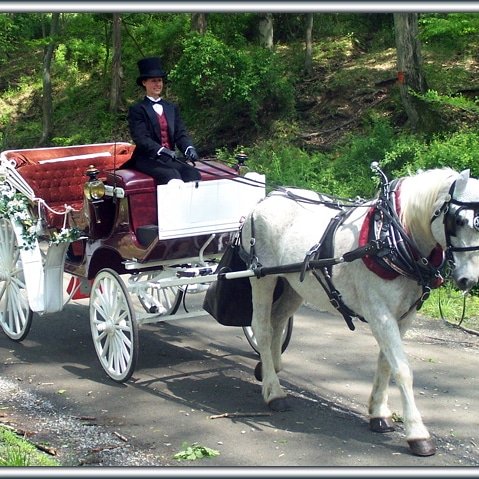 BeaMcNallys's tweet photo. Free horse &amp; carriage rides celebrating the Kentucky Derby, drink specials, contests, stop in 3-7pm at Bea Mcnally's https://t.co/2kvQSrYBBx