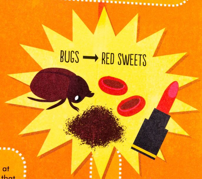 bsmallpub's tweet photo. #DidYouKnow? Maybe think twice before eating that red sweet! Some red food dyes, called cochineal and Carmine, are made from GROUND-UP BUGS! 🦗These go on to become red- coloured foods and cosmetics! #STEMSTARTERS #learning #gross #facts https://t.co/DZYu72BaYg