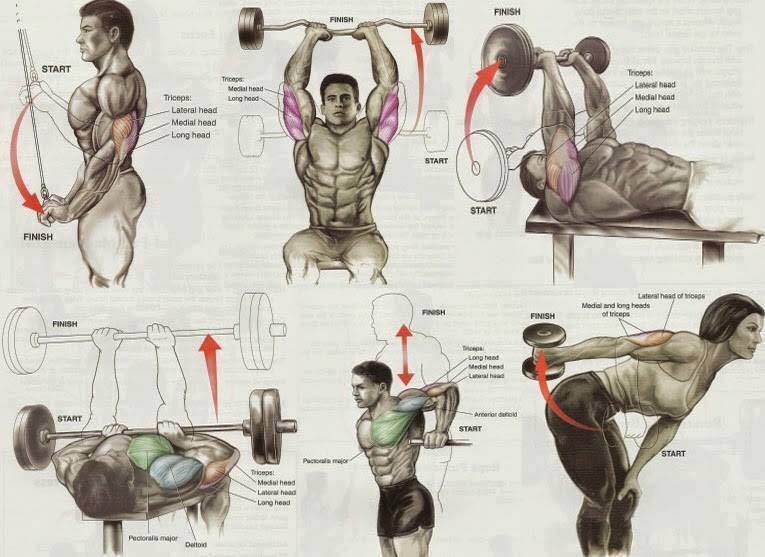 manarmonamar's tweet photo. Full Body Workout https://t.co/kSYyDm8B2N
