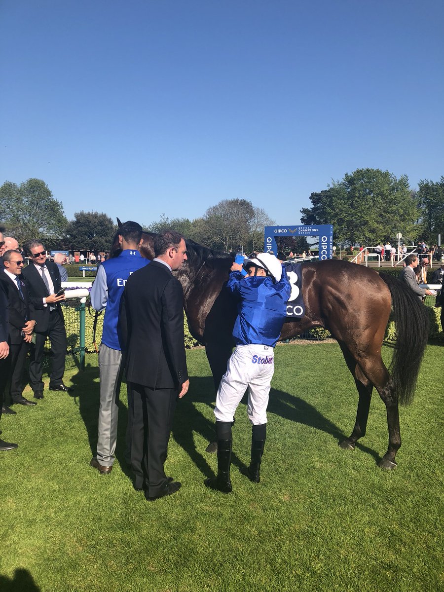 godolphin's tweet photo. #KeyVictory and #OldPersian make it a 1,2 for #TeamGodolphin 🙌 #GuineasWeekend https://t.co/lYXKf4Lo0O