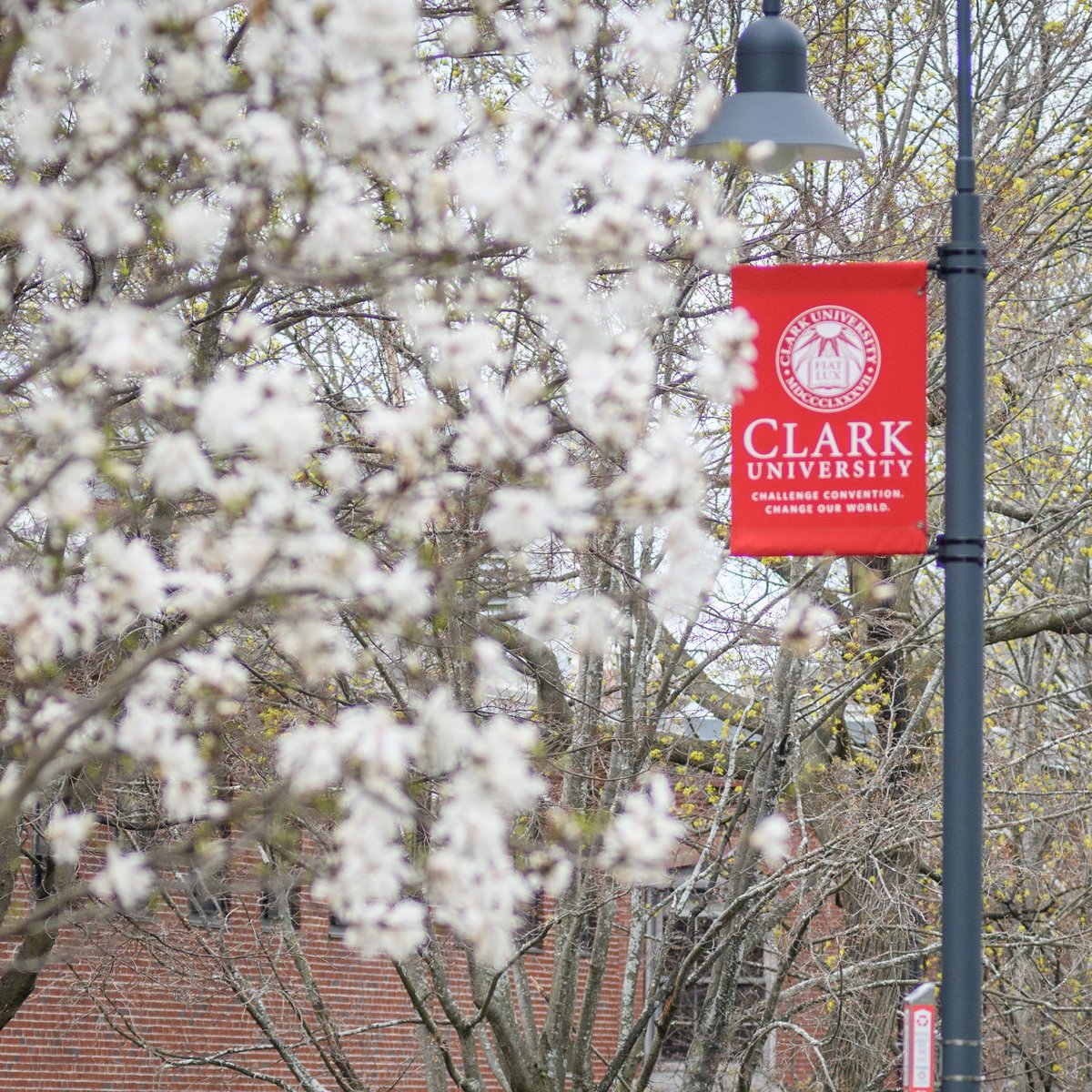 ClarkUniversity's tweet image. Spring has sprung at #ClarkUniversity.