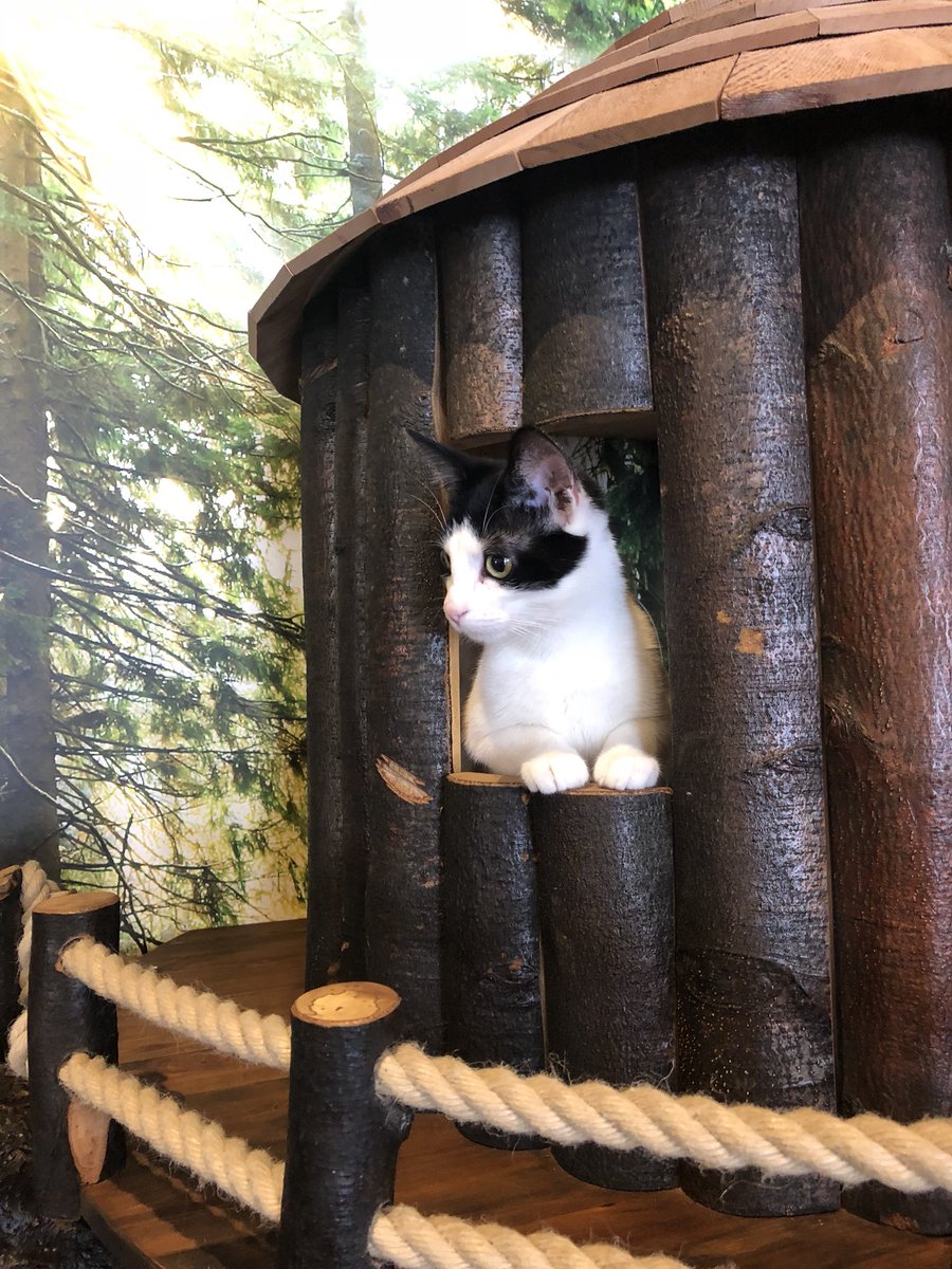 Amelia Tennick tweet media