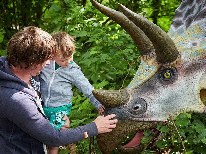 Birdland_'s tweet photo. There are lots of species of Dinosaurs to spot at Birdland this weekend! Join us for the May Bank Holiday Dinosaur Weekend and discover them all! Find out more about the Jurassic Journey over on our website #Cotswolds https://t.co/2je2Yt26Kv https://t.co/cYtX6CNbFG