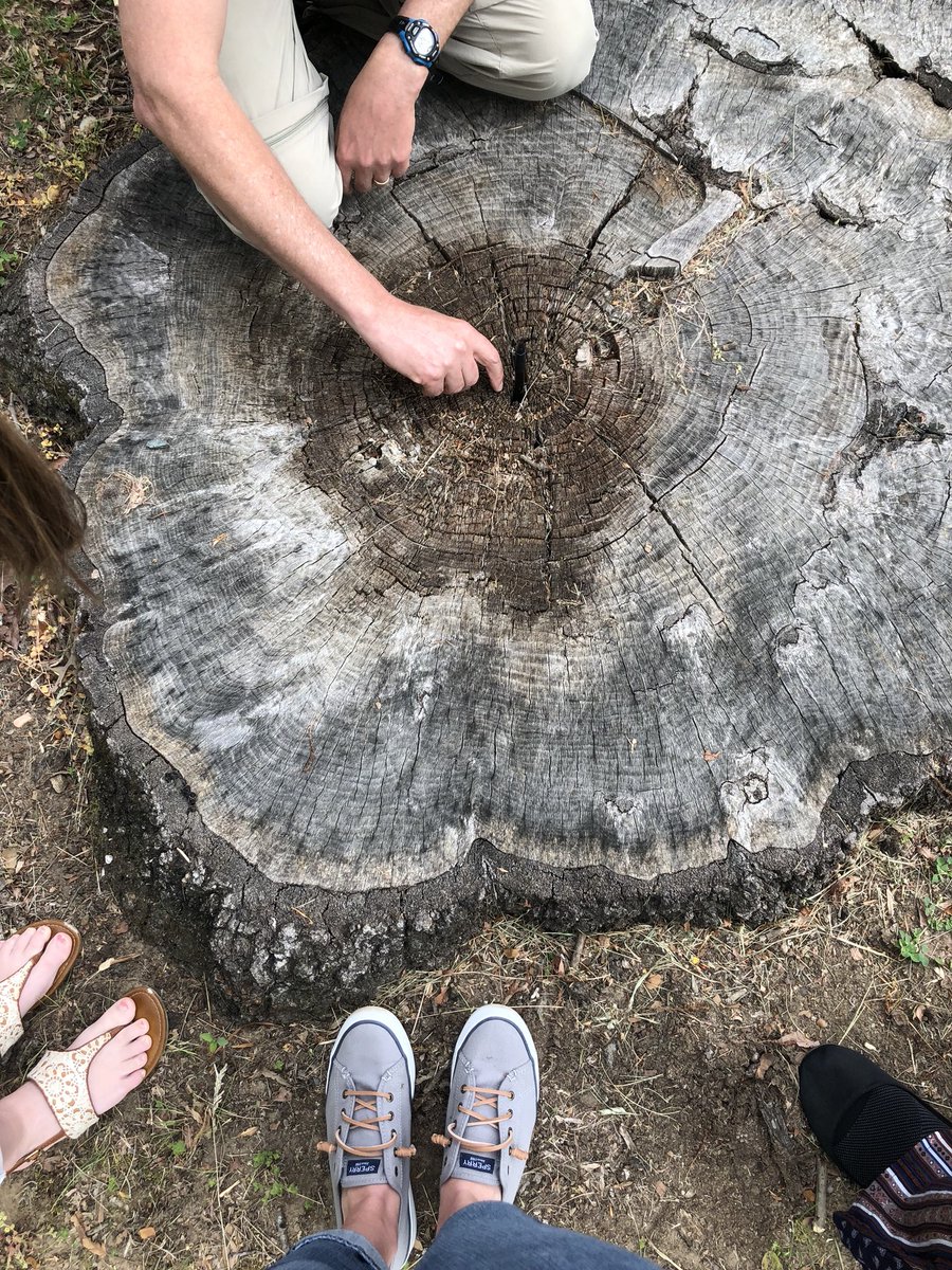 CaseyAnnePerk's tweet photo. Do you know how many breaths we each take during a day? I guessed a million. Itβs actually around 2,000 #oops I learned so much today thanks to @AEchoEnvEdAACPS and #AACPSRightStart #AACPSAwesome https://t.co/zkAXHnnIgR