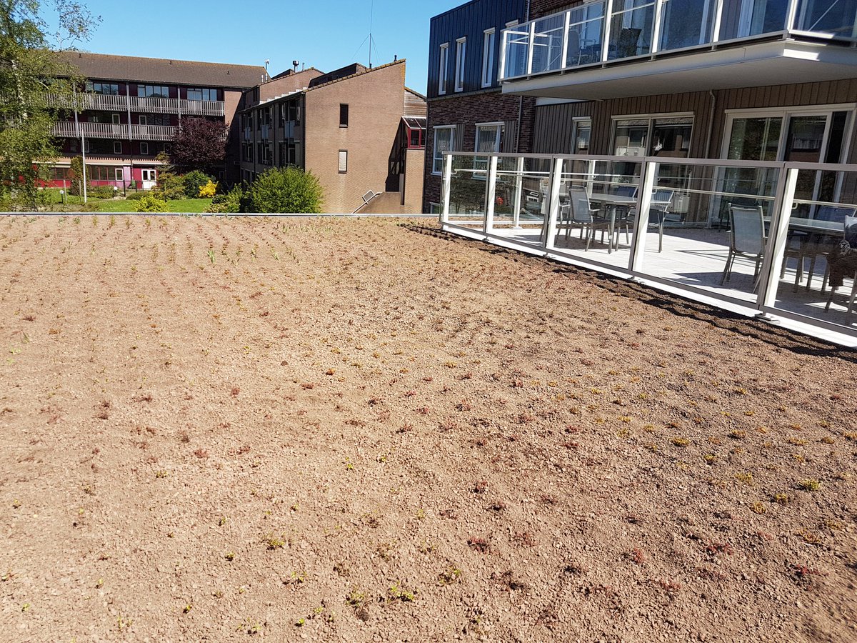 JoshuaJonkers's tweet photo. Afgelopen week heeft BTL Realisatie Utrecht in samenwerking met van Breukelen loodgieters- en dakdekkings een daktuin aangebracht bij complex Theresia te Ouderkerk aan de Amstel https://t.co/C7MtUIJK39