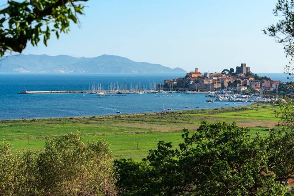 Talamone, Orbetello
Una bella immagine della baia e del borgo vista da un' altura.
A beautiful image of the bay and the village seen from a nearby rise.
Foto: Diego Solari <a href="/Igersmaremma/">IgersMaremma</a>
#maremma #toscana #tuscany #talamone #traveltoitaly #panorama #italy 
facebook.com/MaremmaSpringA…