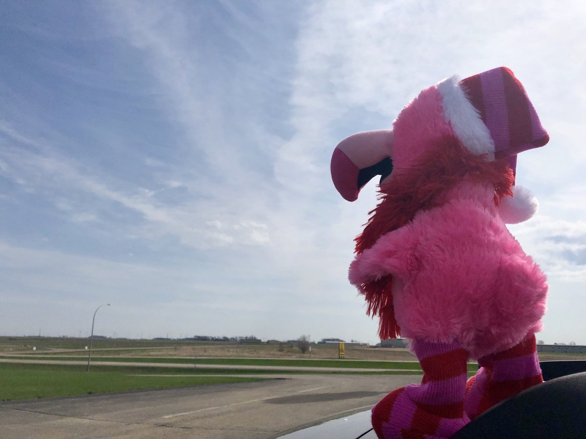 ExtremeRVing's tweet photo. #FollowFancy spied @KOAKampgrounds here in Jackson, MN - but says he still can’t see the #greatoutdoors - so he buckled up and said #steponit he feels we’re getting closer! #roadtrip #leaveordinarybehind #ExploreOurNation #RVlife https://t.co/Tj47zyZWcs