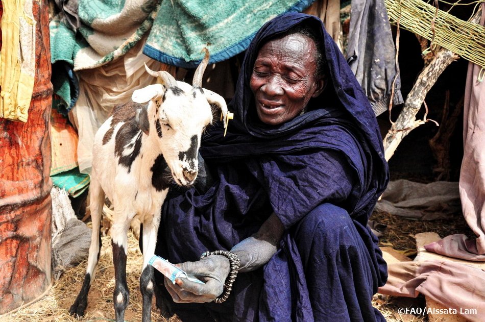 West Africa's #Sahel threatened with malnutrition, insecurity. 

This could be one of the worst crop seasons in several years and many families may exhaust their food reserves early - via <a href="/washingtonpost/">The Washington Post</a> wapo.st/2rmYzj4?tid=ss…