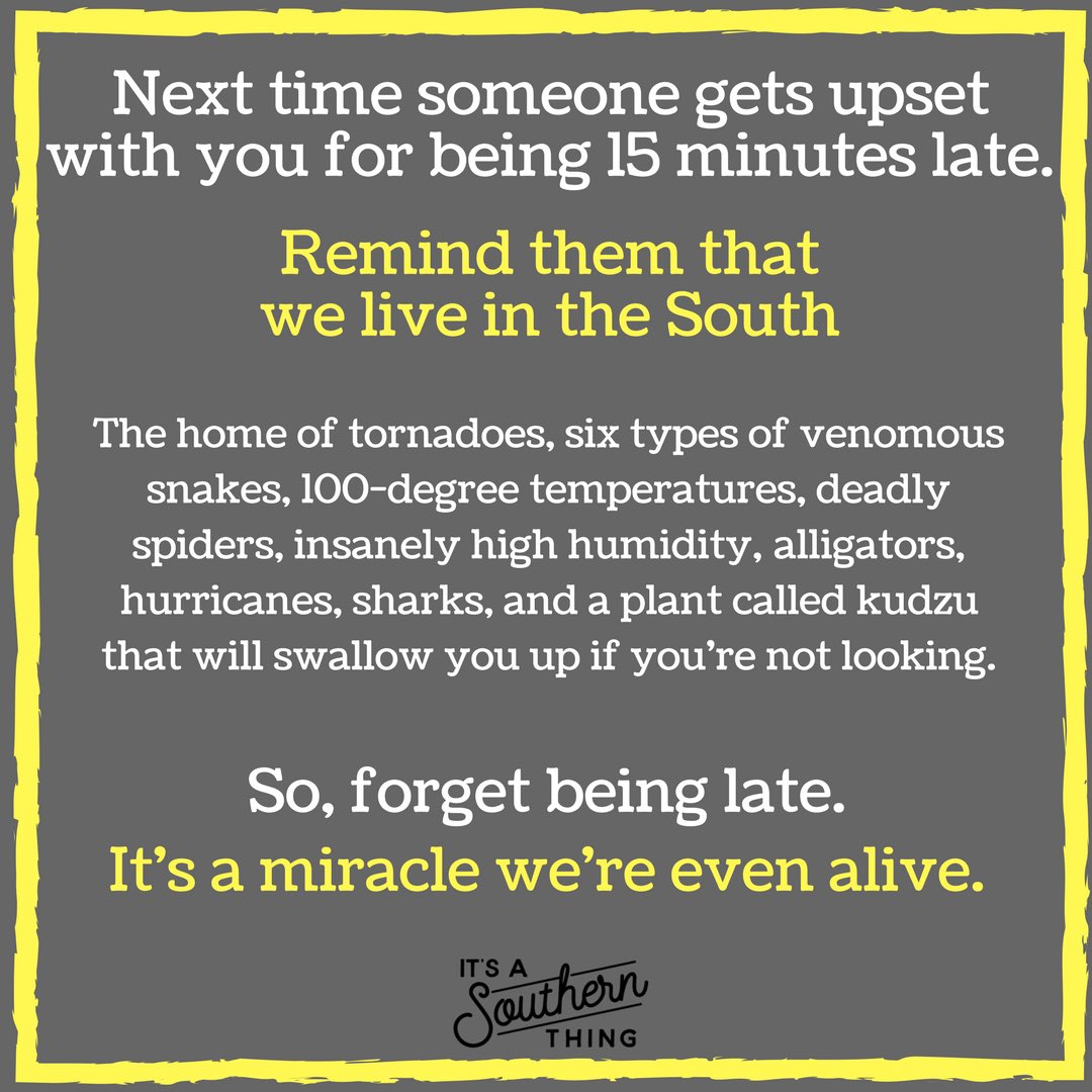 southernthing's tweet image. Accurate