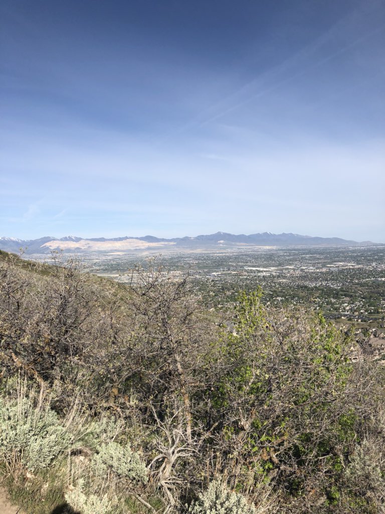 Hikeabike902's tweet photo. Saturday morning inspiration! Man am i out of shape thanks for dragging me out @DingmanAdam @anarchy_bus! #Annestrail #mtbutah #physicalwellbeing @CDu_Chilis @ChilisJobs https://t.co/XeX98ZC5WN