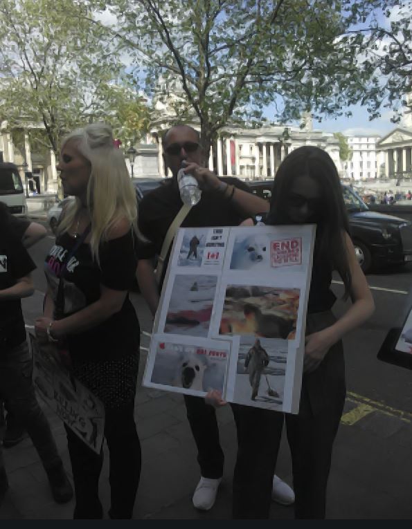 SeaShepherdPaul's tweet photo. #SealHuntNews: Photos From The End Canada's Seal Massacre: #Protest Friday, May 4 : Thank You So Much For Those Who Showed Up !! :Photos By Deborah S @Deborah87164788 ,,▼ 
https://t.co/dKUafERWbR
#EndtheSealHunt NOW !! #EffectiveCollective https://t.co/hooY6xH31Y