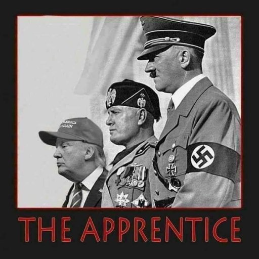 62WalterP's tweet photo. @VeronicaDevine6 #SaturdayMorning 
#SaturdayMotivation 
#NoToThis 
#MAGAts https://t.co/unVlQsoAeD