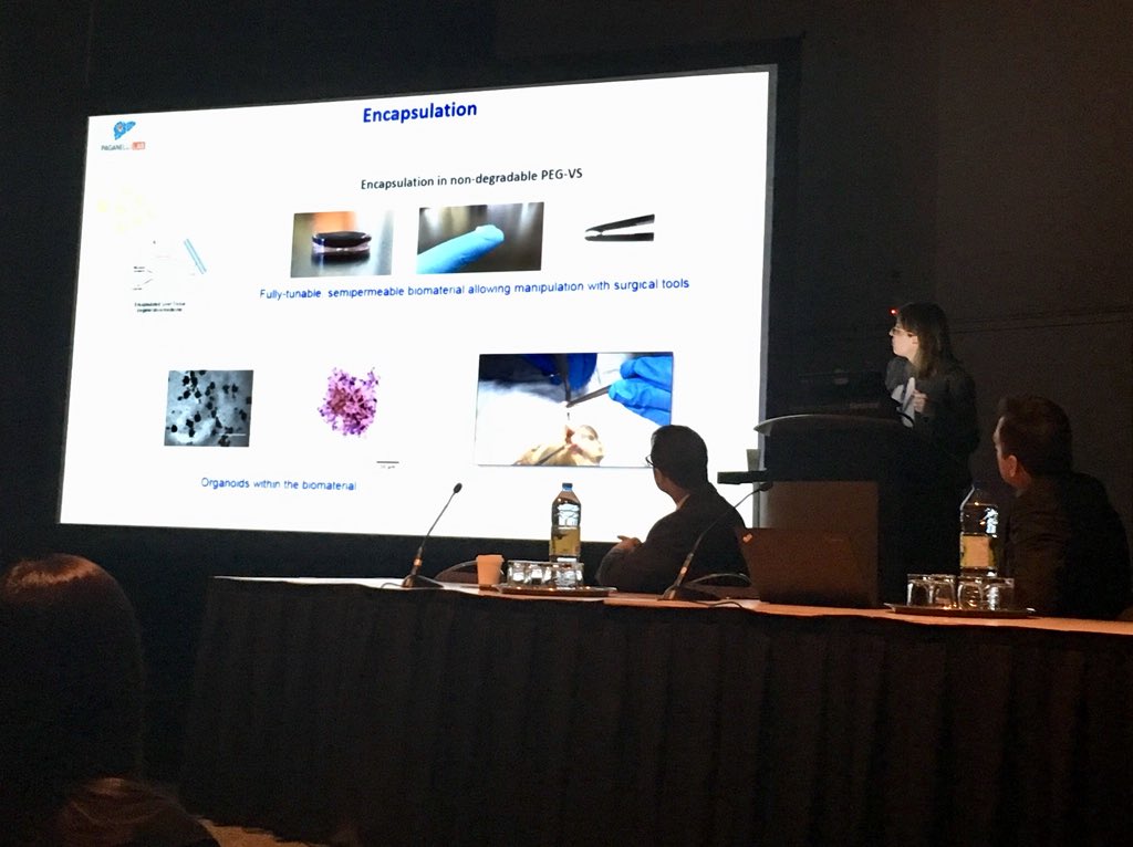 maxpaganelli's tweet photo. @RaggiClaudia presenting preliminary safety data about our #stemcell derived implantable #liver tissue at #ISCT2018. @StemCellNetwork  funded #celltherapy for #LiverDisease @PaganelliLab https://t.co/Ais3bxWV4f