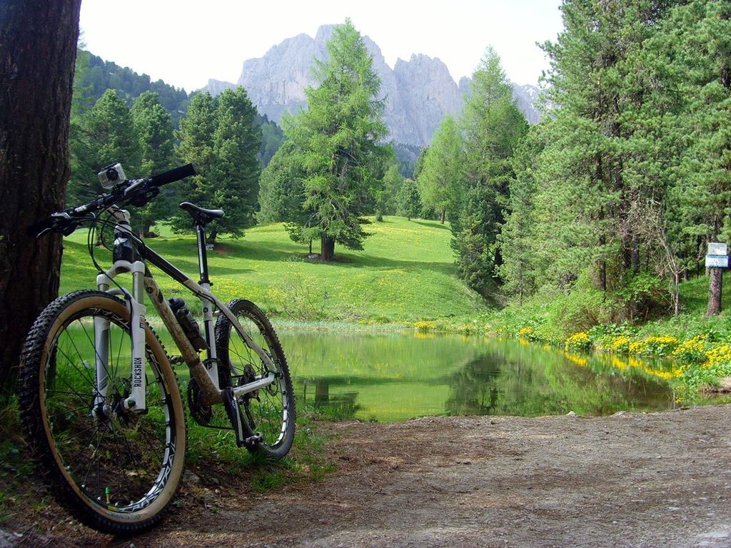 MTBerosForo's tweet photo. Las mejores vistas siempre son verdes 😍. Foto del usuario Aplbike. ¡Visita https://t.co/30uUCj7hN4! #mtberos #junio #2015 #remember #foromtb #mtb #btt #ciclismo #cycling #bicis #bikes #pantano https://t.co/mHpcWMD4Yk