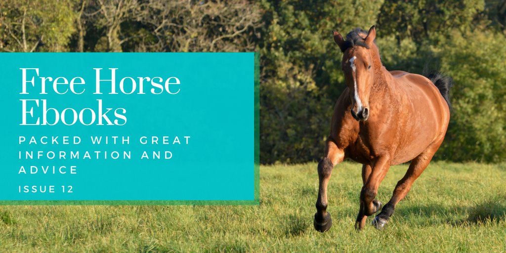 forageplus's tweet photo. FREE Horse Health Ebook - Our Protein Issue with Information on: Understanding Quality Protein, Protein in Horse Diets, Protein for Horses Prone to Laminitis - download now https://t.co/0ENTzeO07S https://t.co/ibrRvocx3k