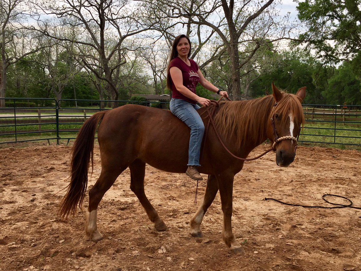 "The way I feel her search my soul when I approach her: There's a connection that I just can't explain."   

Whether you are looking for your first horse  or your fiftieth, you can join see just #whatrescuehorsescando when you adopt from us! #HelpAHorse