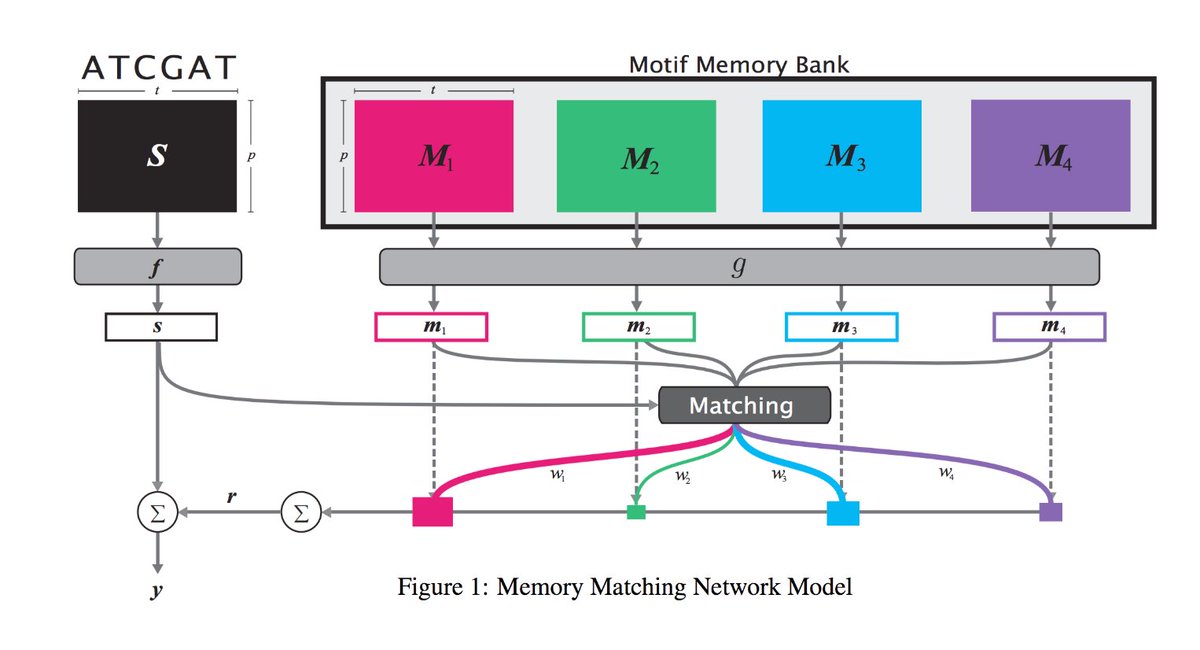 gp_pulipaka's tweet photo. Improving Genetic Prediction Using Deep Learning. #BigData #DeepLearning #MachineLearning #DataScience #AI #Genetics #Algorithms 
https://t.co/VwvhLDts5p https://t.co/sJCHMOzgUx