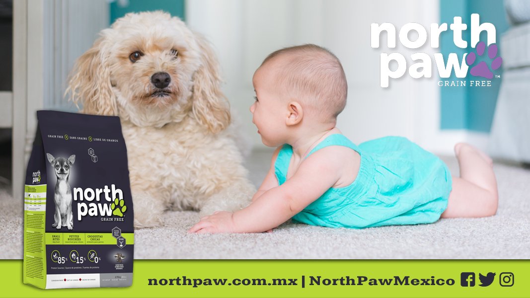 NorthPawMexico's tweet photo. Pequeños bocados para grandes corazones. #LibreDeGranos #NorthPaw https://t.co/k8x2Dlhjij https://t.co/brisxI0xZK