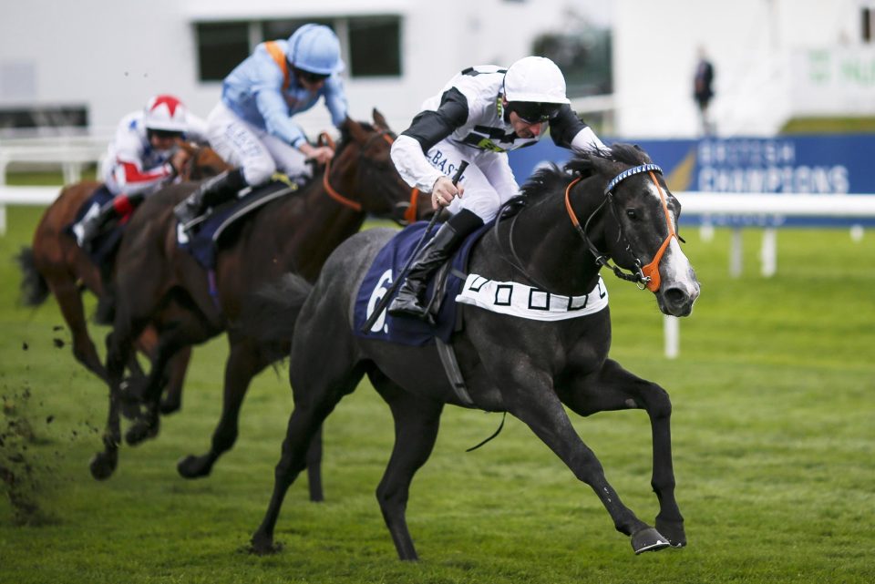 3furlongsout's tweet photo. Well done @RogerTealRacing on the incredible training performance to get #TipTwoWin 2nd in the 2000 Guineas at odds of 50/1 - Top ride @davidprobert9 https://t.co/nnll3JE7jo