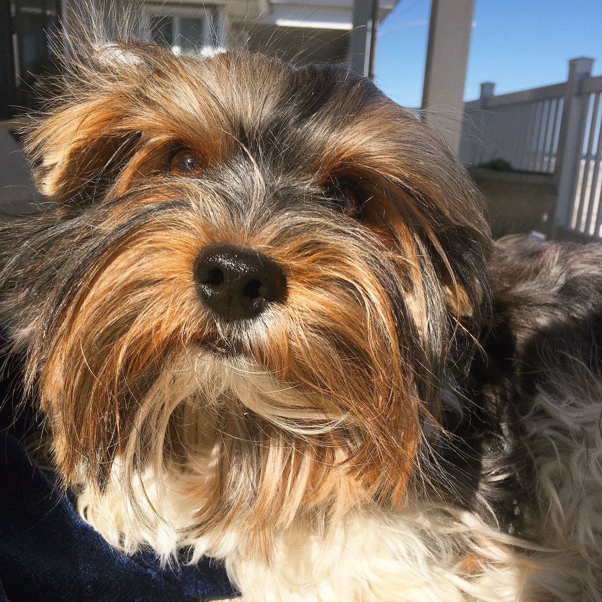 Take your time, keep your pace, through your life do not race, whatever's ahead you'll get through, even if things seem askew. #thoughts #愛