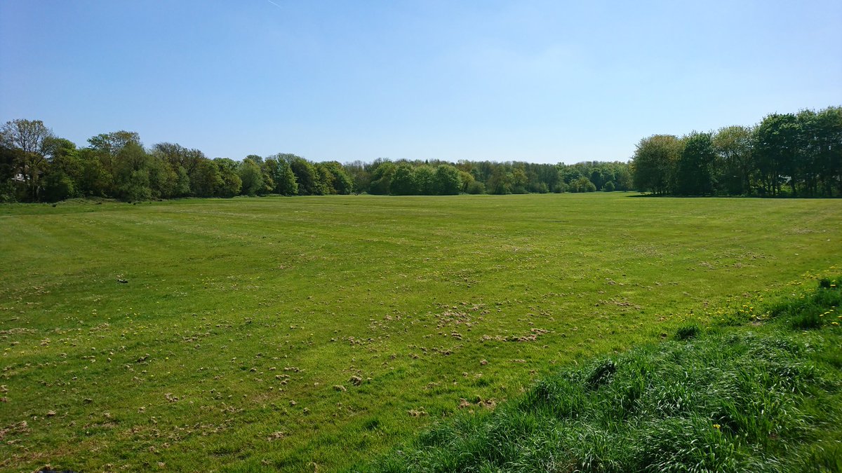 BenHartland81's tweet photo. Looking amazing this afternoon. #SaveTurnMoss @SaveTurnMoss https://t.co/TlrG04CxuJ