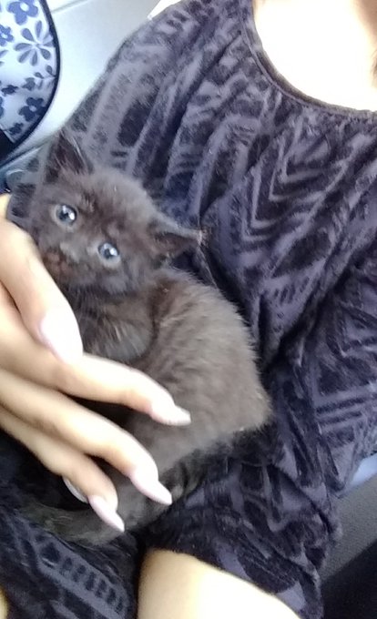 Watch 🌟harmony🌟 hiatus's leaked NSFW photo on TwXstars