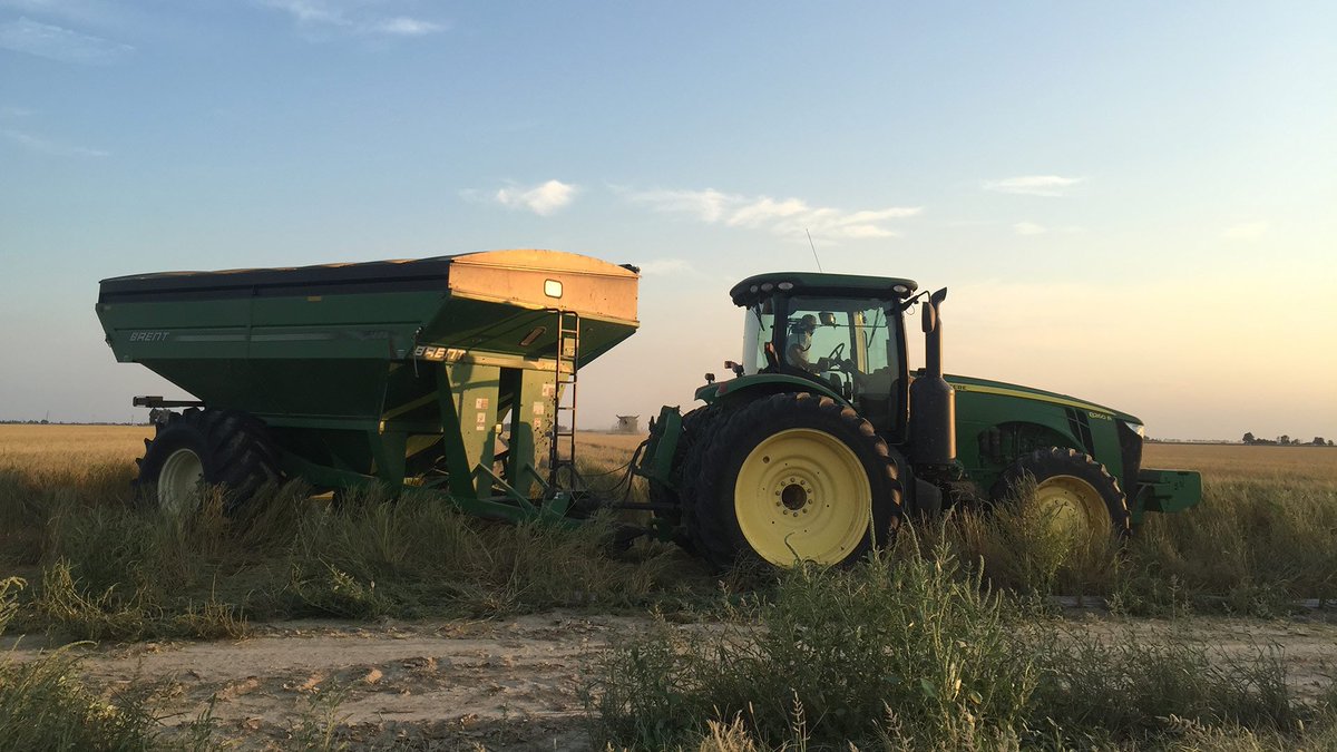 Nine PBS tweet media