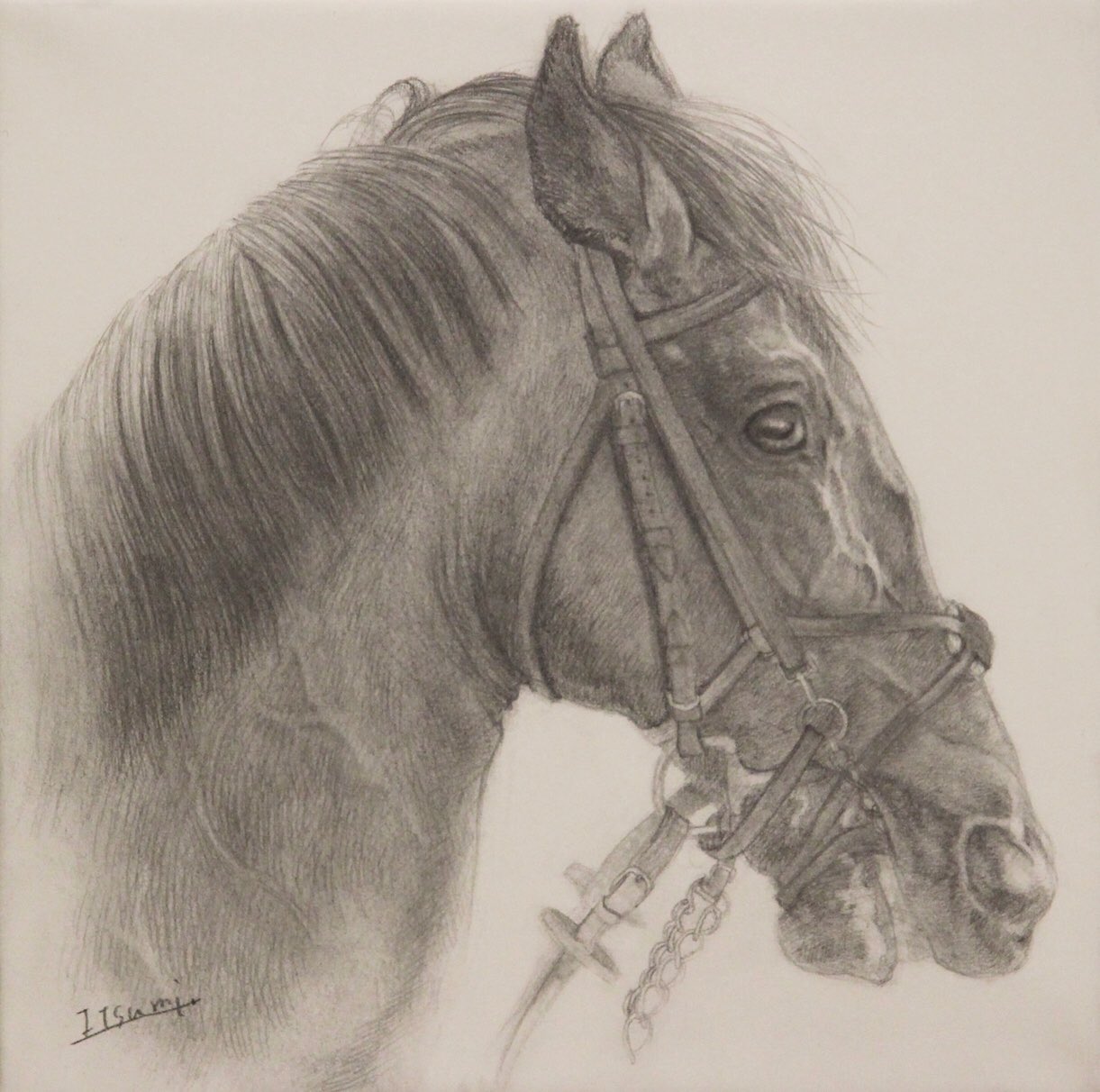 Itsumi 斉藤いつみ 馬の絵画家 Pa Twitter 熾 馬の絵 鉛筆画 Itsumi 斉藤いつみ 馬の絵画家 Pa Twitter 熾 馬の絵 鉛筆画