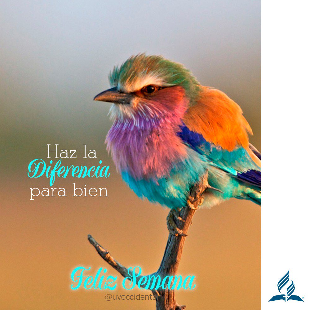 uvoccidental's tweet photo. 👉😊Está nueva semana haz tú la diferencia en la vida de otra persona para bien, y verás las bendiciones en tu vida...#FelizSemana  #adventist #Adventistasdia 🙏💗🙌 https://t.co/eAorAQNgjD