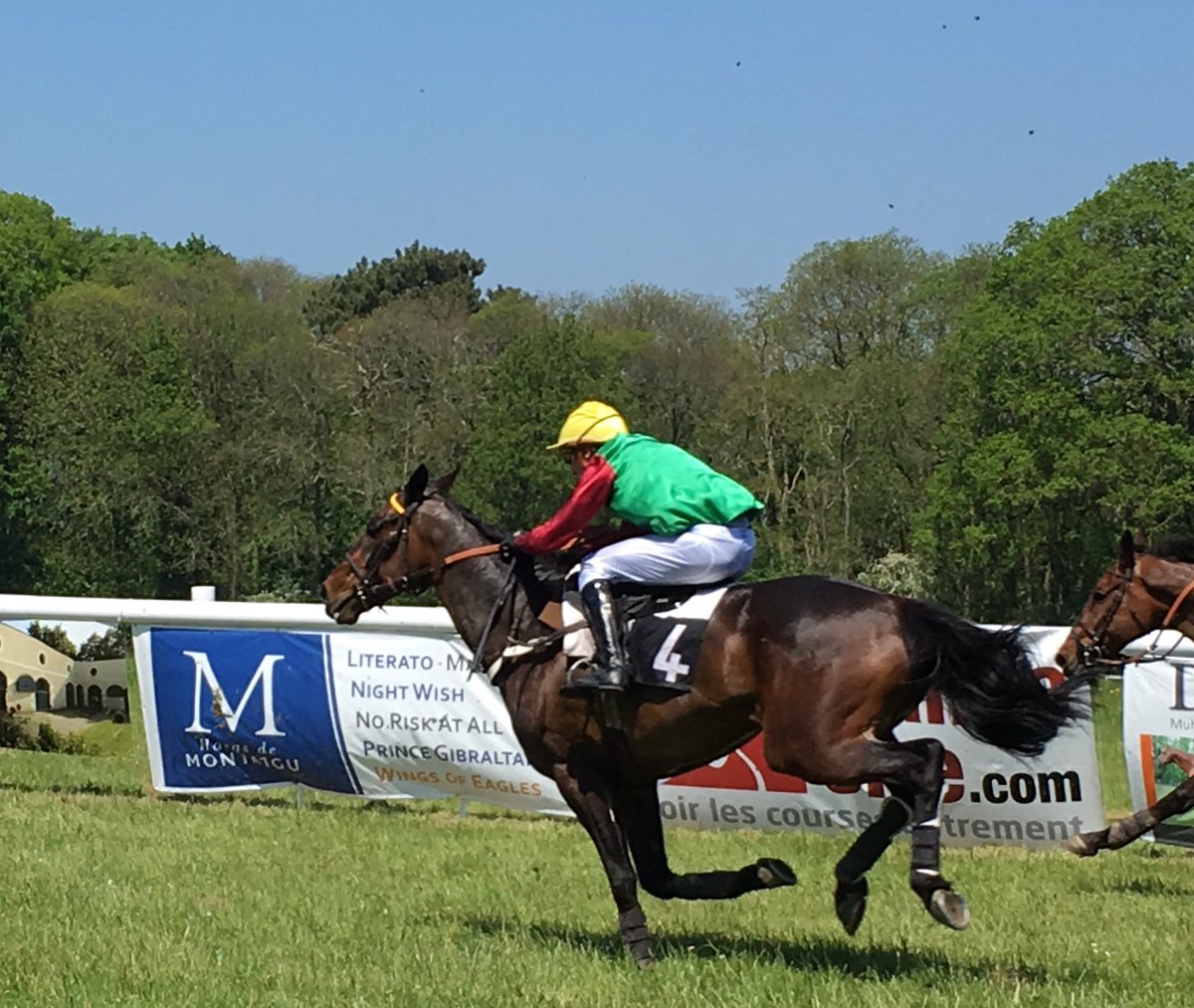HarasMontaigu's tweet photo. Superbe journee #frenchpointtopoint
A refaire...
A copier...
#inspiration
Bravo aux dévoués bénévoles
#amazones
#nicolascaullery
#venerie
#sponsorship
@InfoArqana @TheFrenchChaser @EQUICER @Fedeeleveurs @DYNAVENA
@audeladespistes @REDMILLSHorse @francesire @DuralockUKLtd
... https://t.co/Vm5K1lwR9V