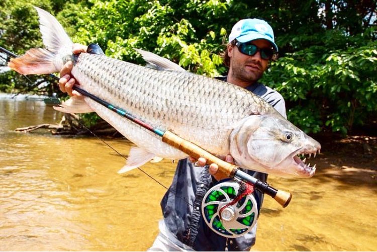 pointerfishing's tweet image. Are You Ready For This?! YOU SHOULD BE THE NEXT ONE!

pointerflyfishing.com
pointeroutfitters.com

#PointerFlyFishing #AroundTheWorld #CatchAndRelease