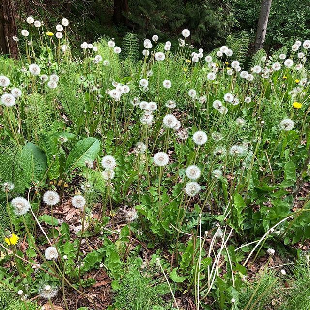 nurlight's tweet image. ift.tt/2KE4lWj