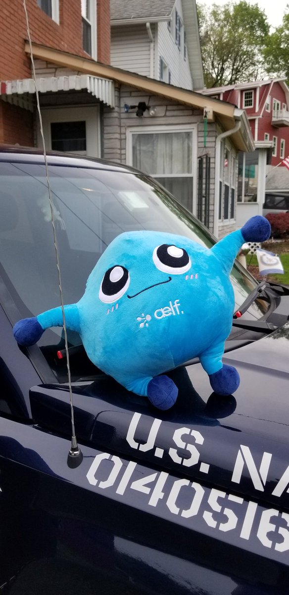AudreyBrotzman1's tweet photo. Woohoo look who now lives in New York. #aelfiego @aelfblockchain https://t.co/90PUQC5eqg