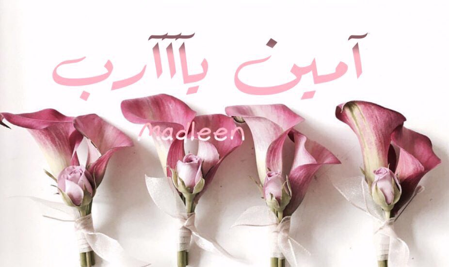 mkmm1121's tweet photo. '
❁࿐💞
.
 
هبّ لنا ياالله من نسيم كونكـ  رضاً ثم فرحاً..
فــ #بگ الكفاية ولگ الحمد ..🕊
.
 
❁࿐💞
#мα∂ℓєєи https://t.co/rVP3qdS1YT