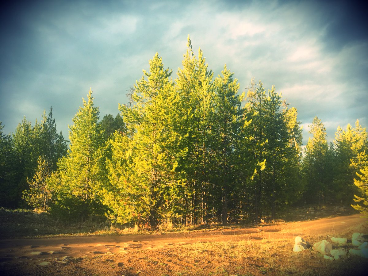 ameliacgray's tweet photo. Challenge One: Post a photo of what you like to capture. #shawphoto #shawacademy https://t.co/hI3hsxS3X8