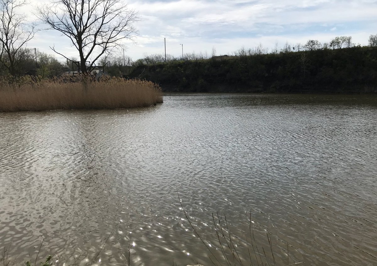 SypniewskiScott's tweet photo. The Black River in Lorain.  #BlackRiverCleanUp @LorainHd6930 https://t.co/ZK0XbVIx8g
